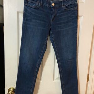 Women's Dark Indigo Skinny Jeans - Stretch Slim Fit